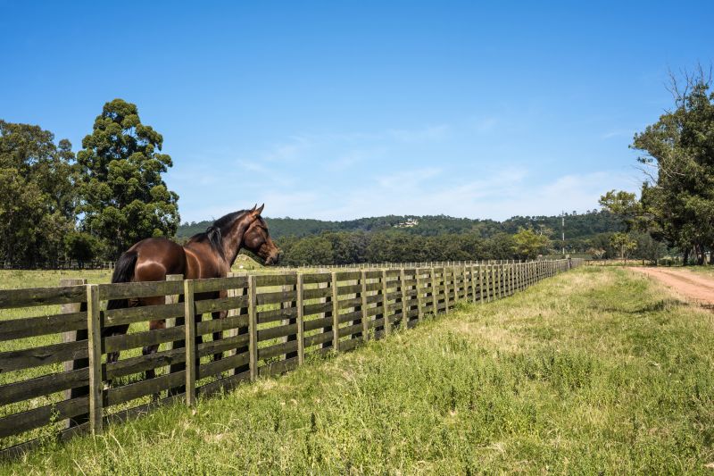 Horse Paddock Installation in South Houston, TX